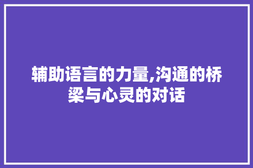 辅助语言的力量,沟通的桥梁与心灵的对话