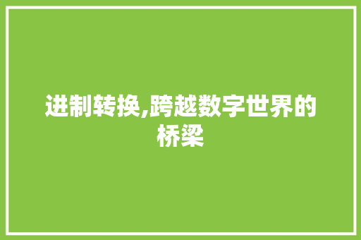 进制转换,跨越数字世界的桥梁 神马SEO