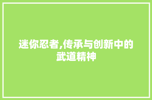 迷你忍者,传承与创新中的武道精神 百度SEO