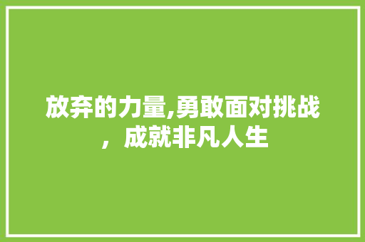 放弃的力量,勇敢面对挑战，成就非凡人生 GoogleSEO