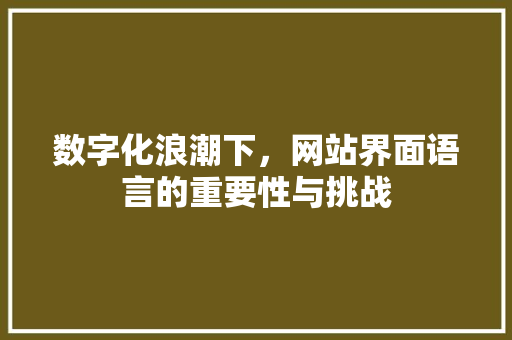 数字化浪潮下，网站界面语言的重要性与挑战 GoogleSEO