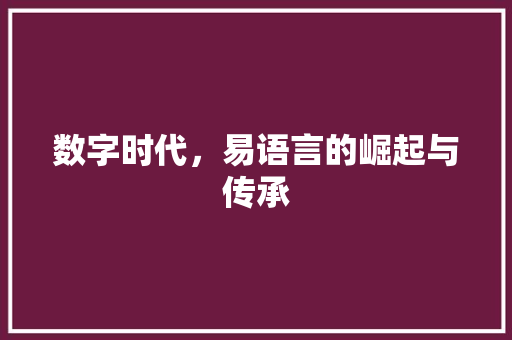 数字时代，易语言的崛起与传承 搜狗SEO