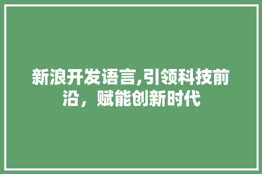 新浪开发语言,引领科技前沿，赋能创新时代 搜狗SEO