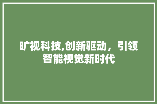 旷视科技,创新驱动，引领智能视觉新时代 GoogleSEO