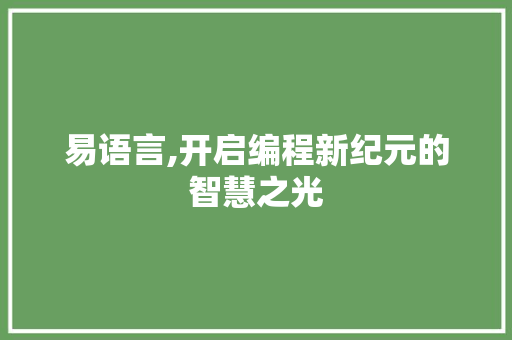 易语言,开启编程新纪元的智慧之光 百度SEO