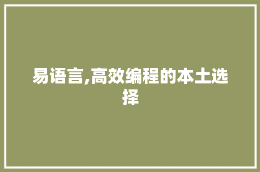 易语言,高效编程的本土选择 GoogleSEO
