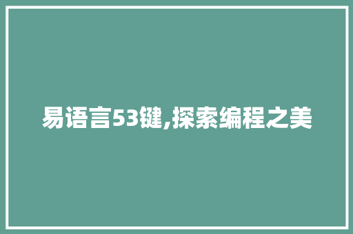 易语言53键,探索编程之美