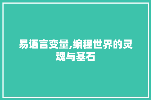 易语言变量,编程世界的灵魂与基石 神马SEO