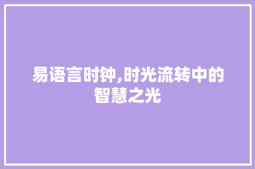 易语言时钟,时光流转中的智慧之光 搜狗SEO