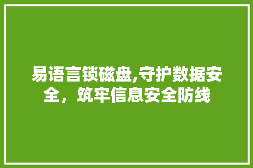 易语言锁磁盘,守护数据安全，筑牢信息安全防线