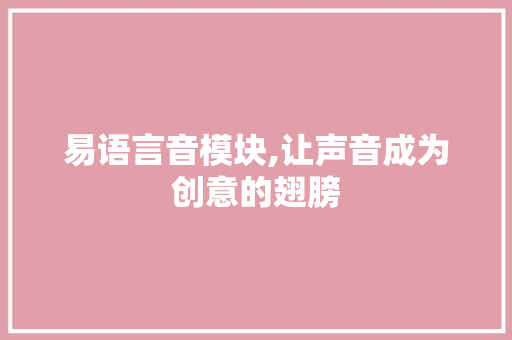 易语言音模块,让声音成为创意的翅膀 百度SEO
