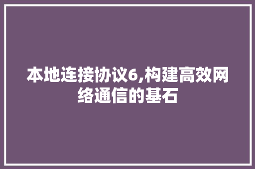 本地连接协议6,构建高效网络通信的基石 GoogleSEO