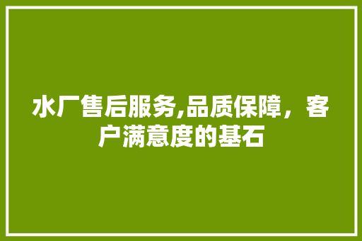 水厂售后服务,品质保障，客户满意度的基石