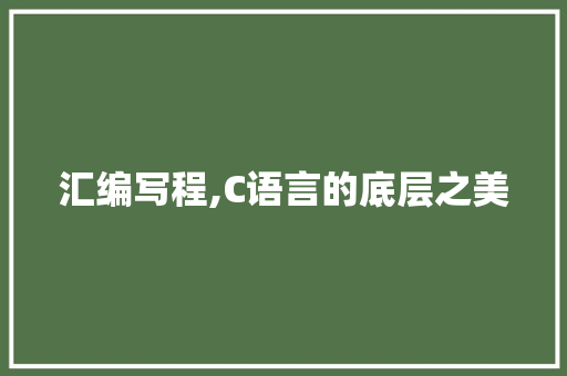 汇编写程,C语言的底层之美 GoogleSEO