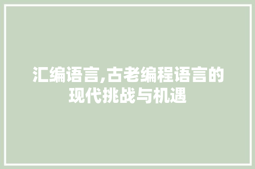 汇编语言,古老编程语言的现代挑战与机遇 GoogleSEO