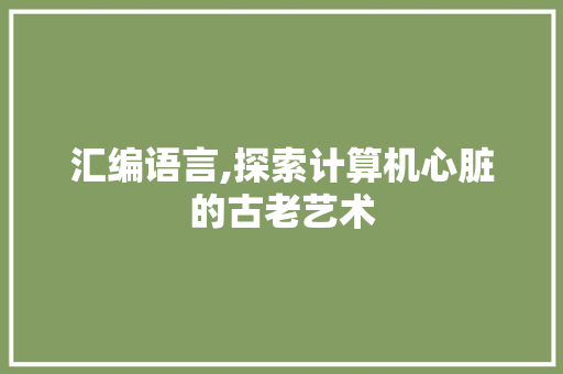 汇编语言,探索计算机心脏的古老艺术 GoogleSEO