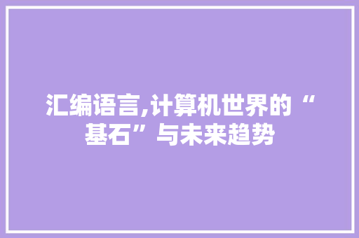 汇编语言,计算机世界的“基石”与未来趋势 GoogleSEO