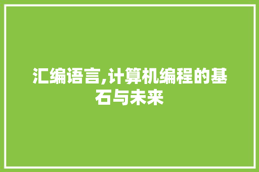 汇编语言,计算机编程的基石与未来 神马SEO