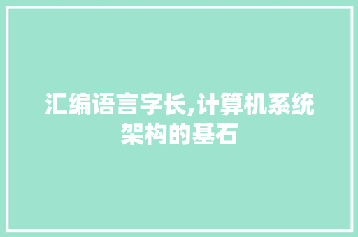 汇编语言字长,计算机系统架构的基石 百度SEO