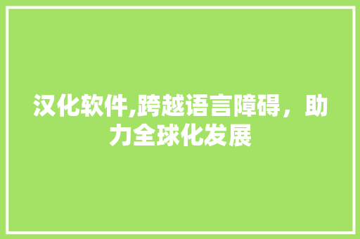 汉化软件,跨越语言障碍，助力全球化发展 神马SEO