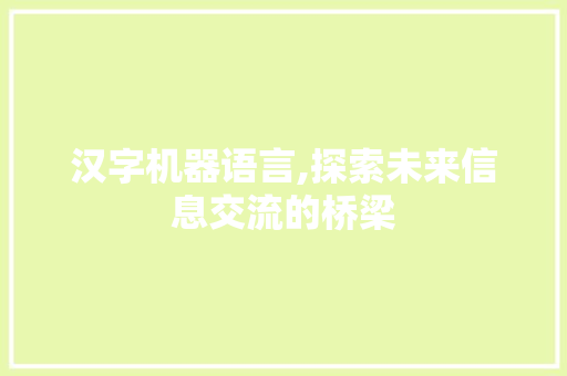 汉字机器语言,探索未来信息交流的桥梁 神马SEO