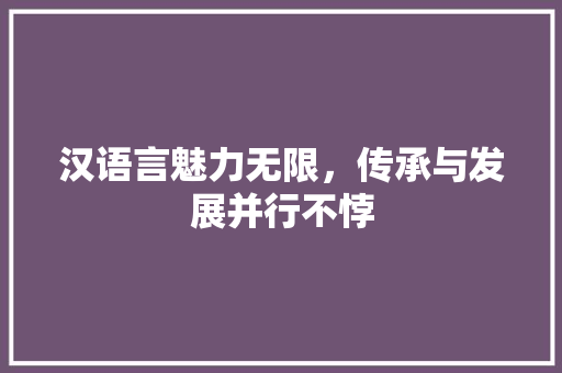 汉语言魅力无限，传承与发展并行不悖 必应SEO