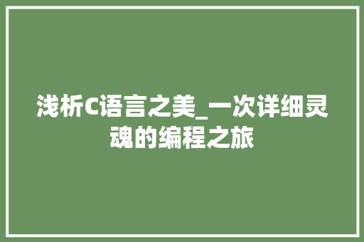 浅析C语言之美_一次详细灵魂的编程之旅 必应SEO