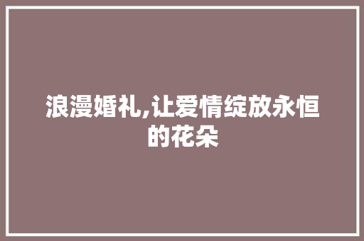 浪漫婚礼,让爱情绽放永恒的花朵 GoogleSEO