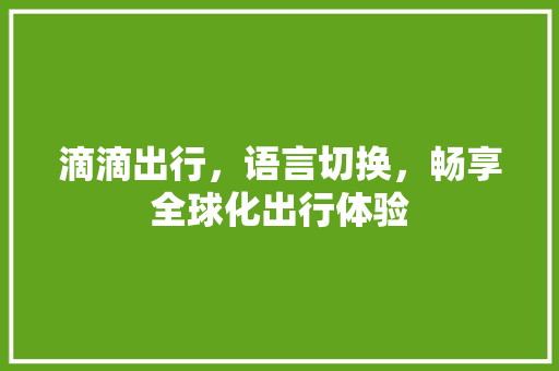 滴滴出行，语言切换，畅享全球化出行体验 百度SEO
