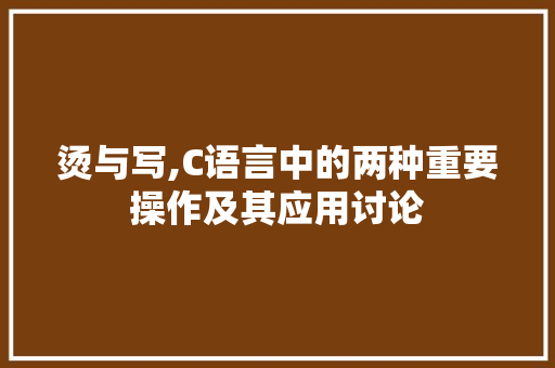 烫与写,C语言中的两种重要操作及其应用讨论 神马SEO