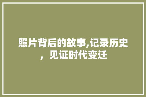 照片背后的故事,记录历史，见证时代变迁 神马SEO