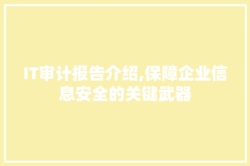 IT审计报告介绍,保障企业信息安全的关键武器