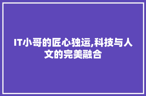 IT小哥的匠心独运,科技与人文的完美融合