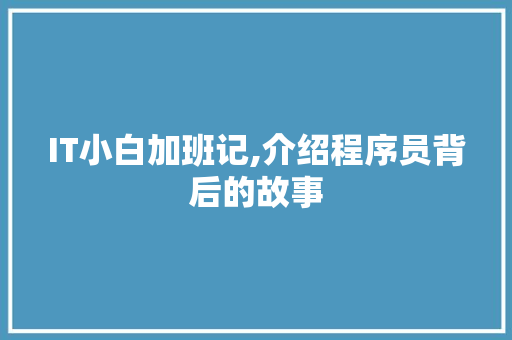 IT小白加班记,介绍程序员背后的故事