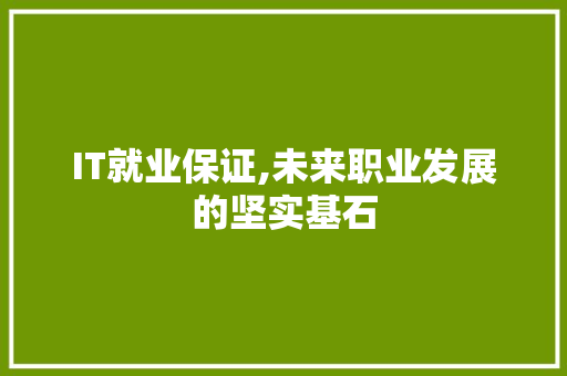 IT就业保证,未来职业发展的坚实基石 搜狗SEO