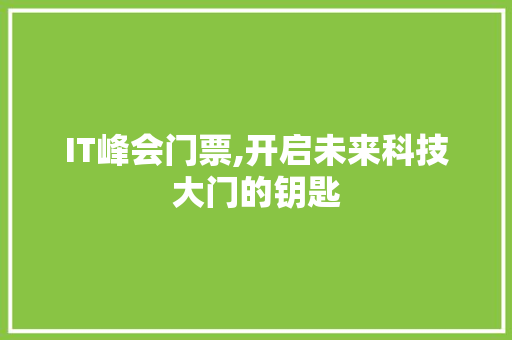 IT峰会门票,开启未来科技大门的钥匙