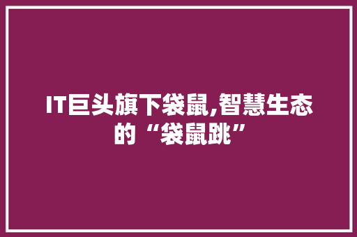IT巨头旗下袋鼠,智慧生态的“袋鼠跳”