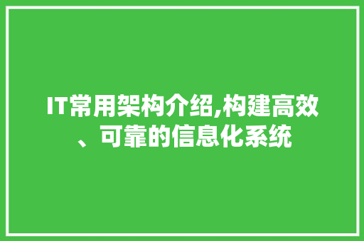 IT常用架构介绍,构建高效、可靠的信息化系统