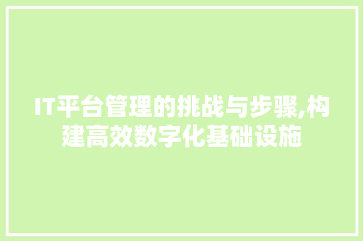 IT平台管理的挑战与步骤,构建高效数字化基础设施