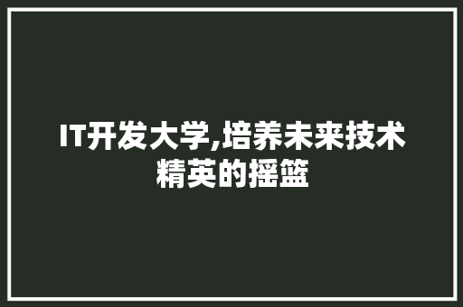 IT开发大学,培养未来技术精英的摇篮