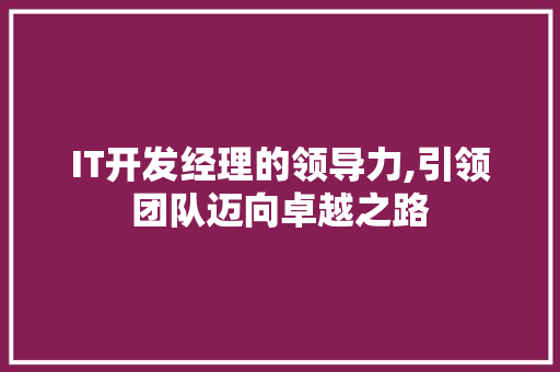 IT开发经理的领导力,引领团队迈向卓越之路