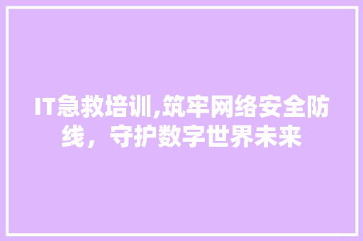 IT急救培训,筑牢网络安全防线，守护数字世界未来 神马SEO