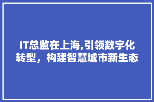 IT总监在上海,引领数字化转型，构建智慧城市新生态 必应SEO