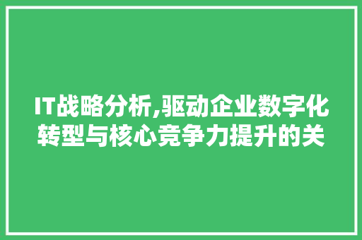 IT战略分析,驱动企业数字化转型与核心竞争力提升的关键路径