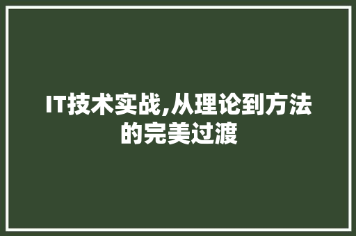 IT技术实战,从理论到方法的完美过渡