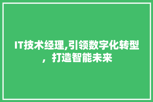 IT技术经理,引领数字化转型，打造智能未来