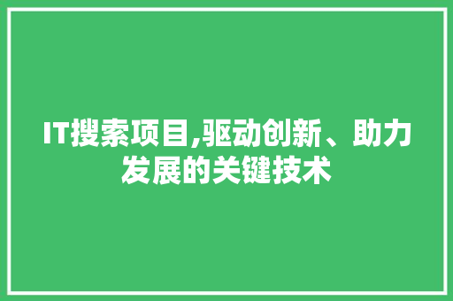 IT搜索项目,驱动创新、助力发展的关键技术