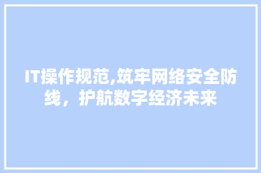 IT操作规范,筑牢网络安全防线，护航数字经济未来