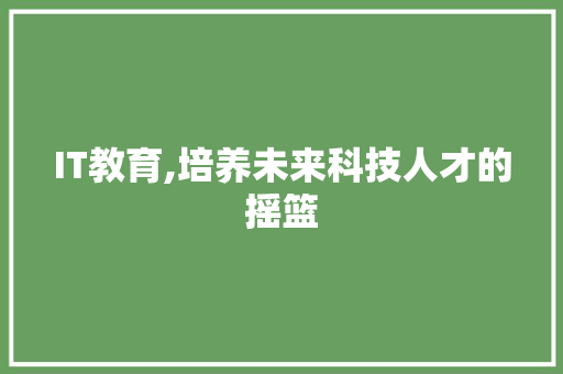 IT教育,培养未来科技人才的摇篮