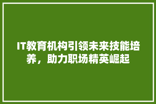 IT教育机构引领未来技能培养，助力职场精英崛起